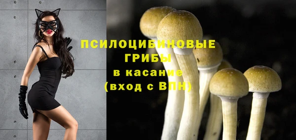 крисы Пролетарск