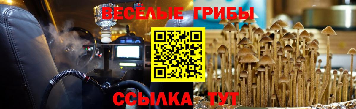 Псилоцибиновые грибы мухоморы Северобайкальск