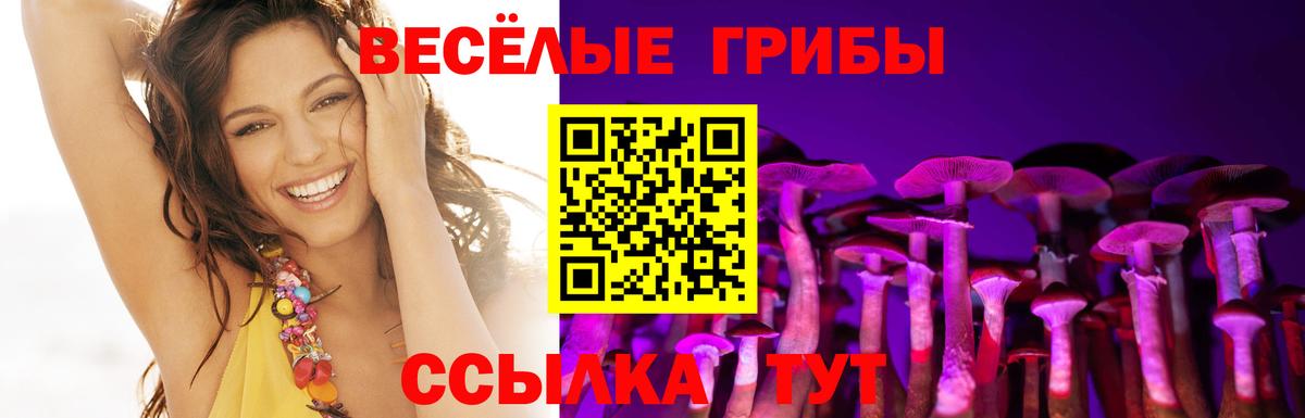 Северобайкальск  Псилоцибиновые грибы MAGIC MUSHROOMS  Вход с VPN  Галлюциногенные грибы мицелий 